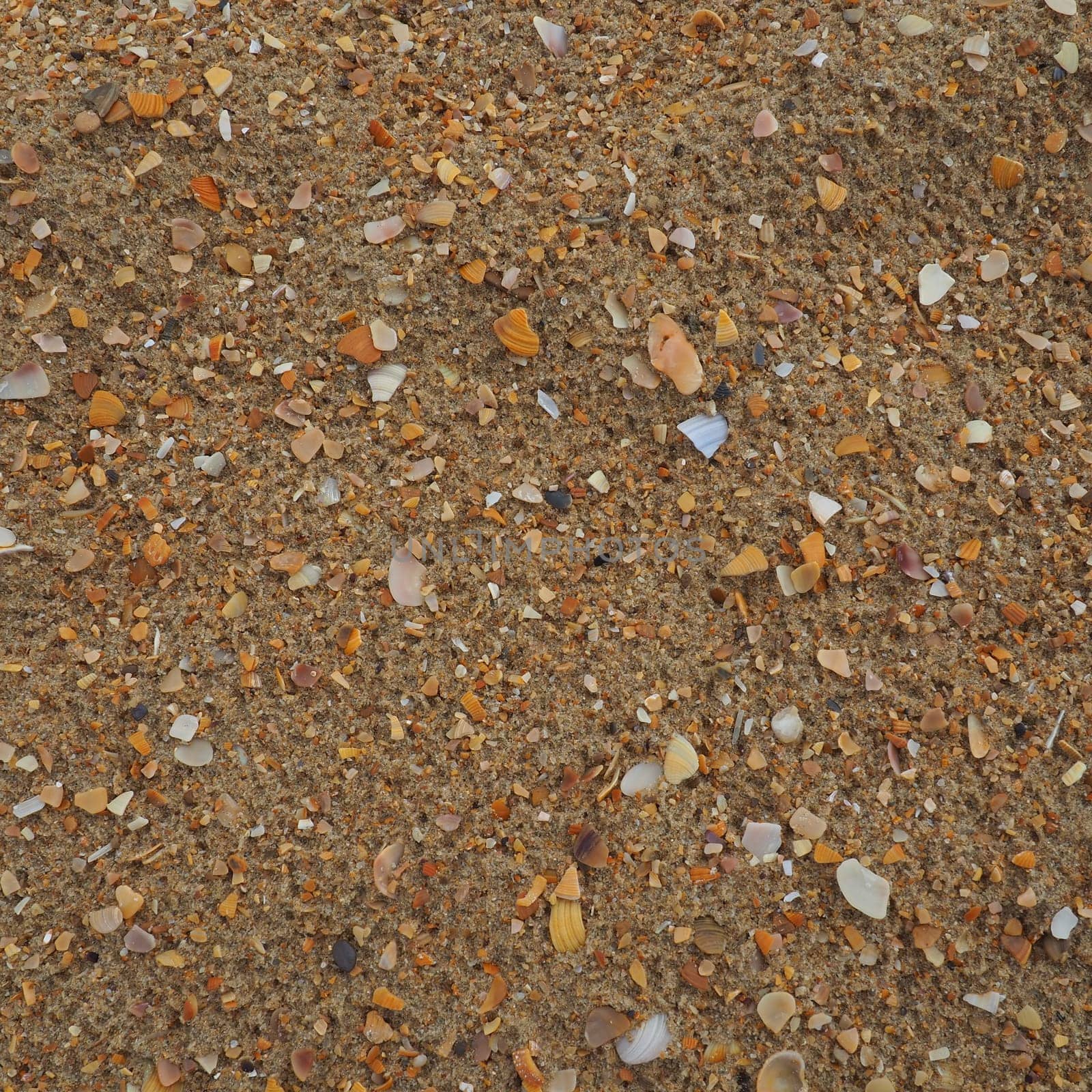 Sand with seashells background. Wet coarse quartz sand. Broken seashells. Beach after heavy rain. Silica. Crushed quartz sand, natural brown material after a storm. Dents from drops in the sand. Anapa.