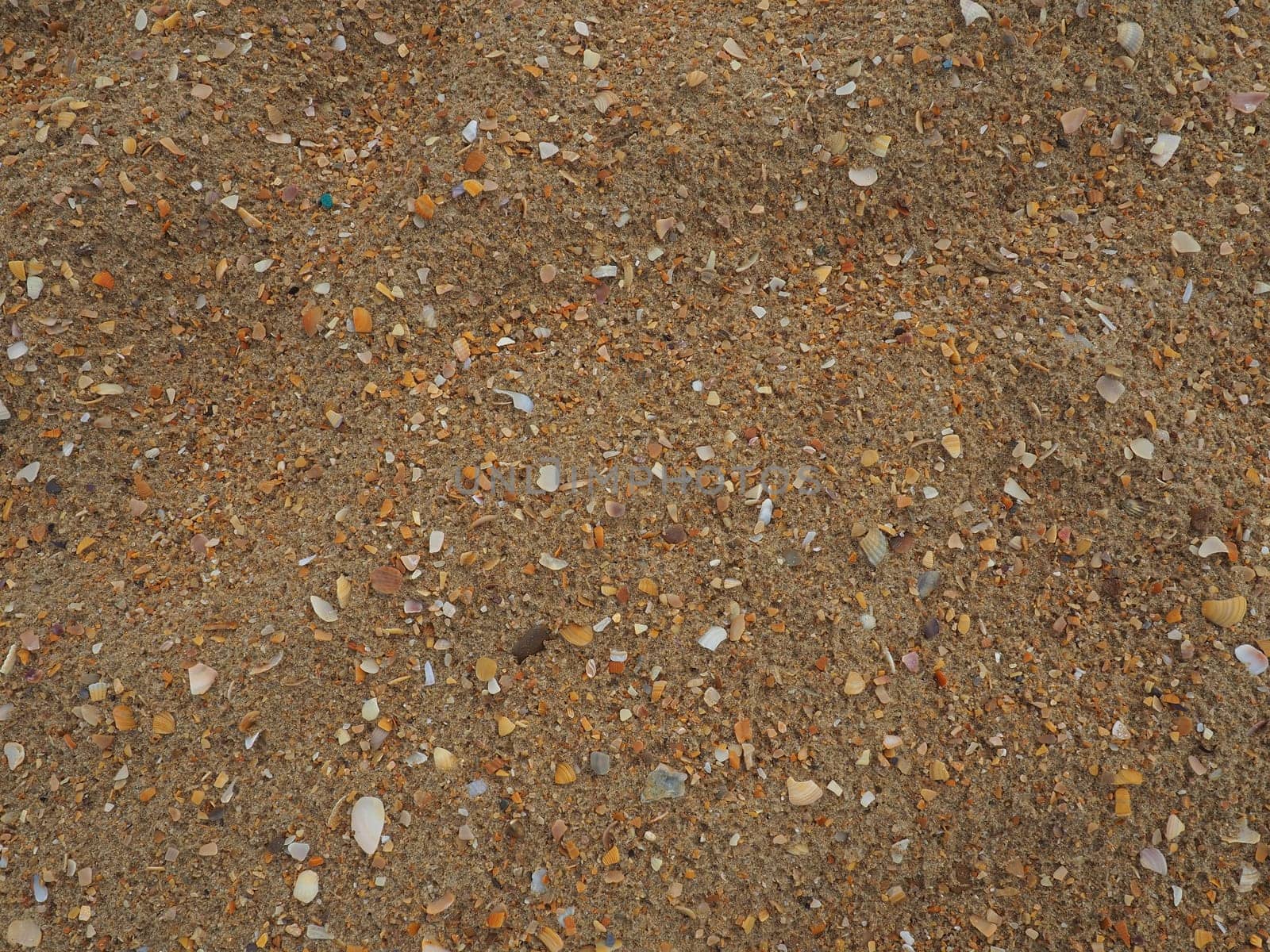 Sand with seashells background. Wet coarse quartz sand. Broken seashells. Beach after heavy rain. Silica. Crushed quartz sand, natural brown material after a storm. Dents from drops in the sand. Anapa