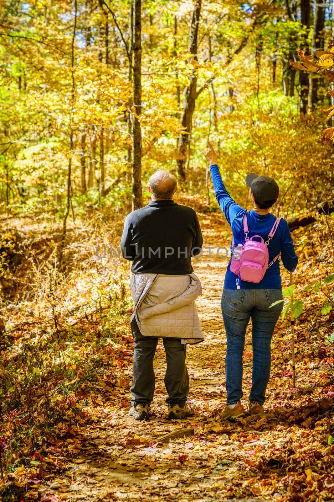 Senior couple is hiking in the woods in North Carolina in fall