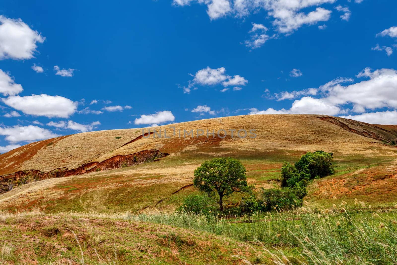 Devastated central Madagascar landscape, Mahajanga Province. Highland deforested countryside. Deforestation creates agricultural pastoral land but also result ecology problem with soil and water.