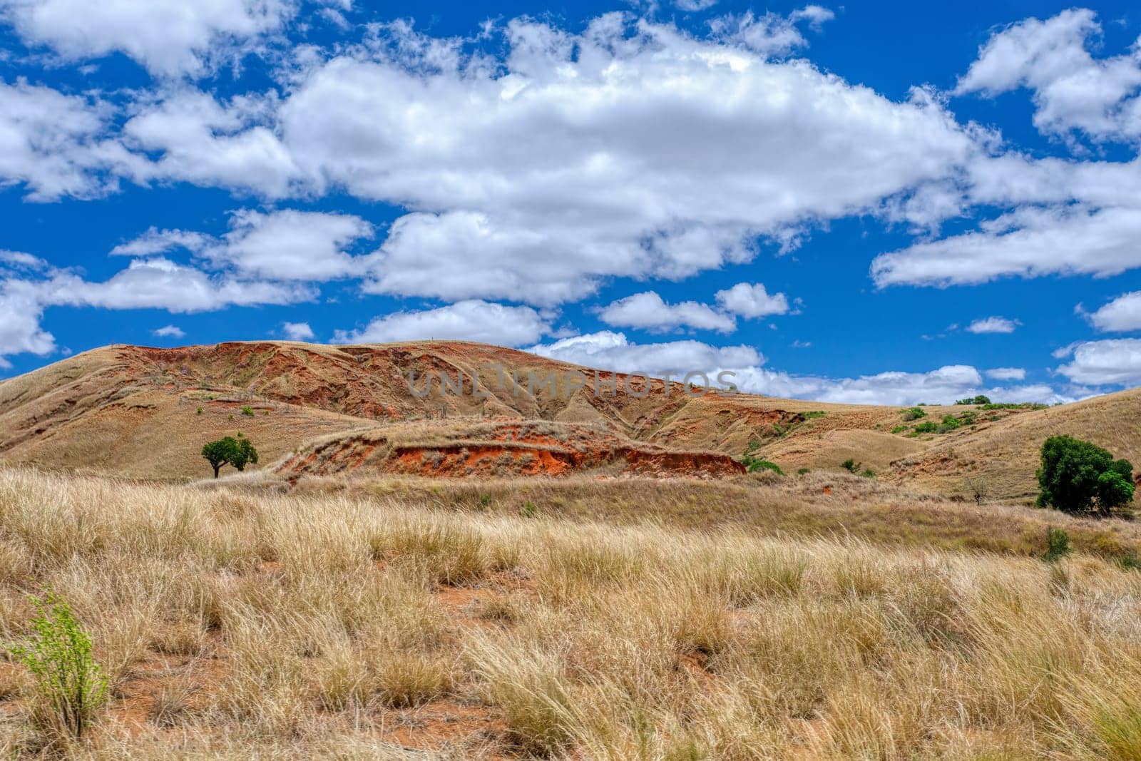 Devastated central Madagascar landscape, Mahajanga Province. Highland deforested countryside. Deforestation creates agricultural pastoral land but also result ecology problem with soil and water.