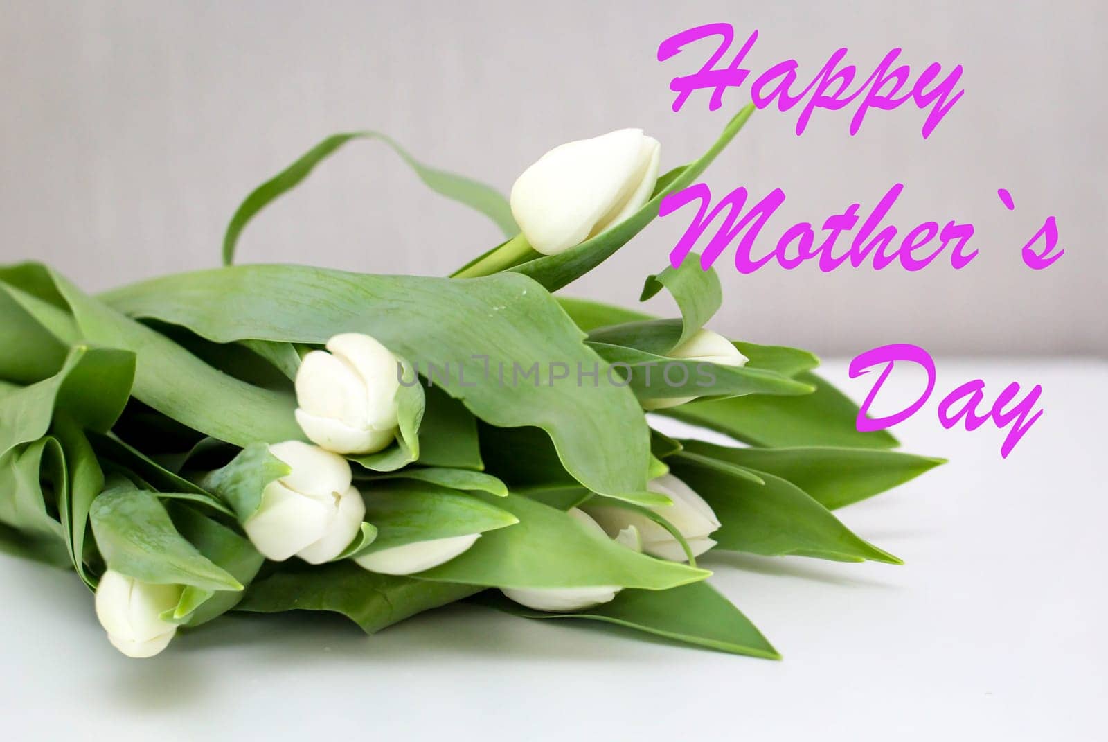 Close up of bouquet with beautiful tulips for spring. Happy Mothers Day.