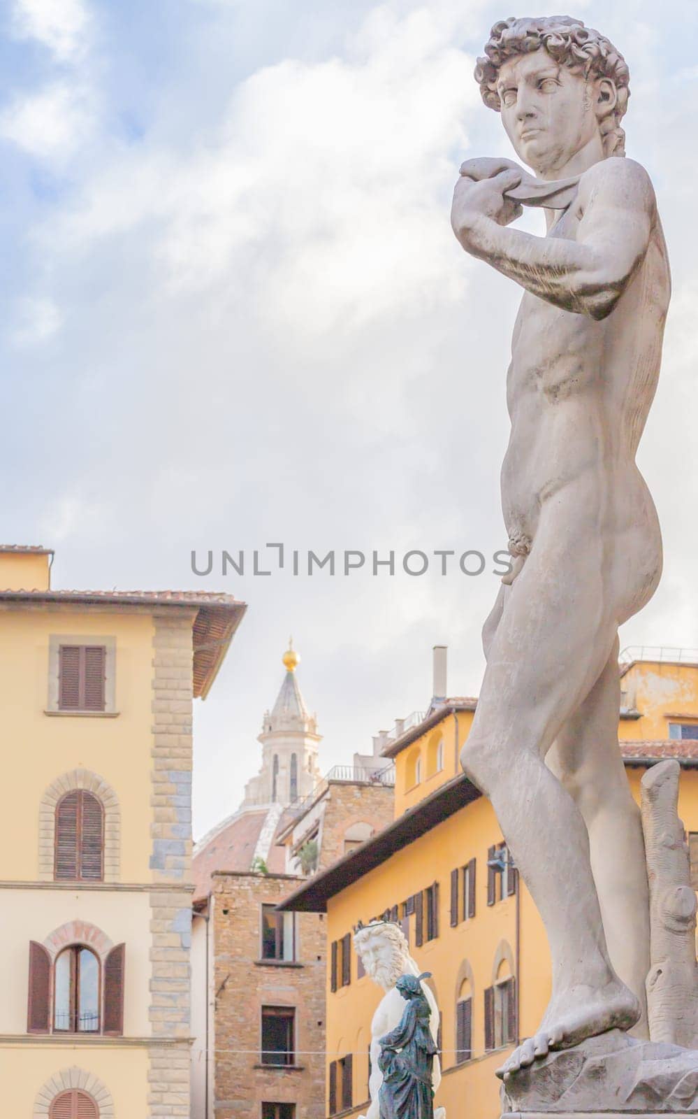 David by Michelangelo in Florence, Italy. Example of body perfection in marble