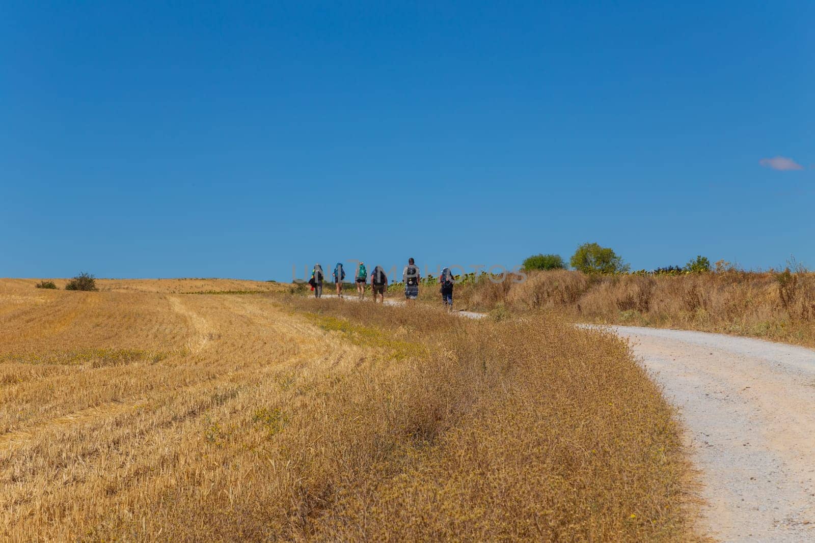 Navarre, Spain, 26 August, 2022: Pilgrims walk along the Camino De Santiago, the Way of St. James pilgrimage route, Navarra, Spain.