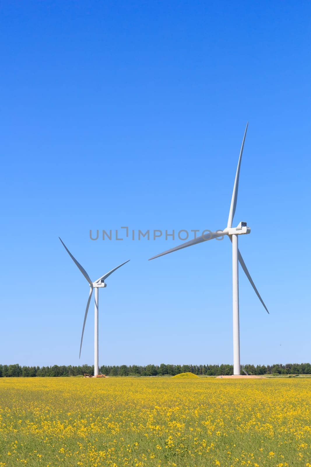 Wind turbine in a yellow flower field of rapeseed. High quality photo