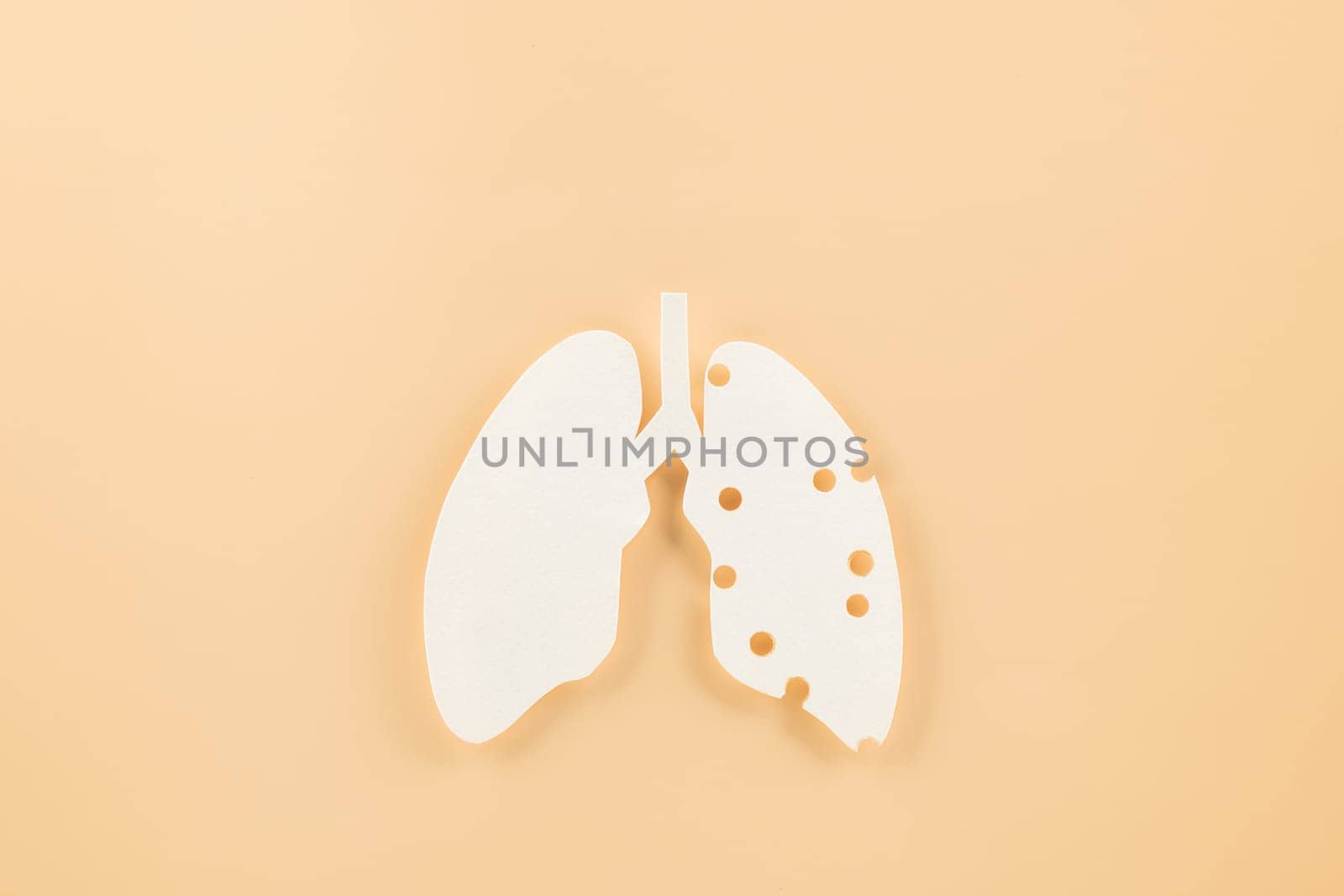 World TB day. Top view Lungs paper decorative symbol on pastel background, copy space, concept of world tuberculosis day, no tobacco, Medical and healthcare