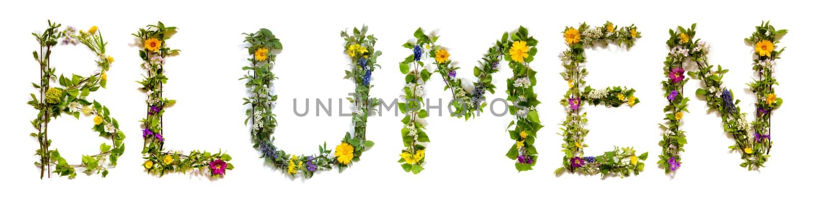 Blooming Flower Letters Building German Word Blumen Means Flower. Colorful Spring and Summer Blossoms. White Isolated Background.