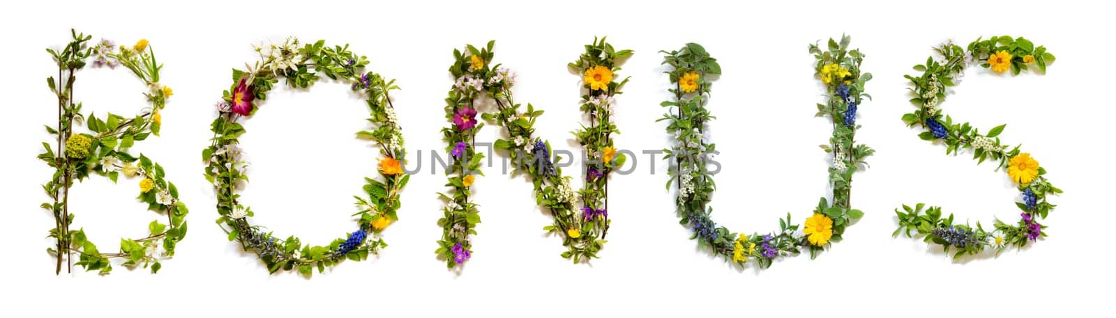 Blooming Flower Letters Building English Word Bonus. Colorful Spring and Summer Blossoms. White Isolated Background.