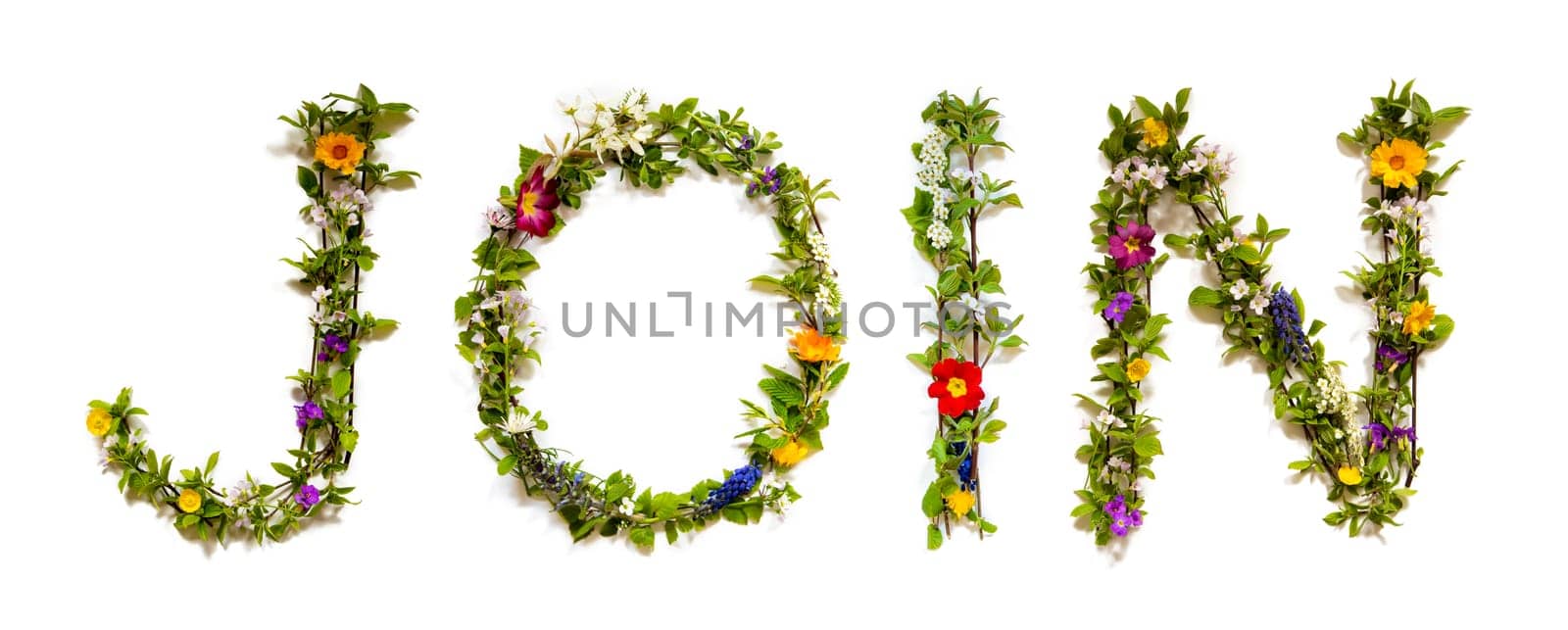 Blooming Flower Letters Building English Word Join. Colorful Spring and Summer Blossoms. White Isolated Background.