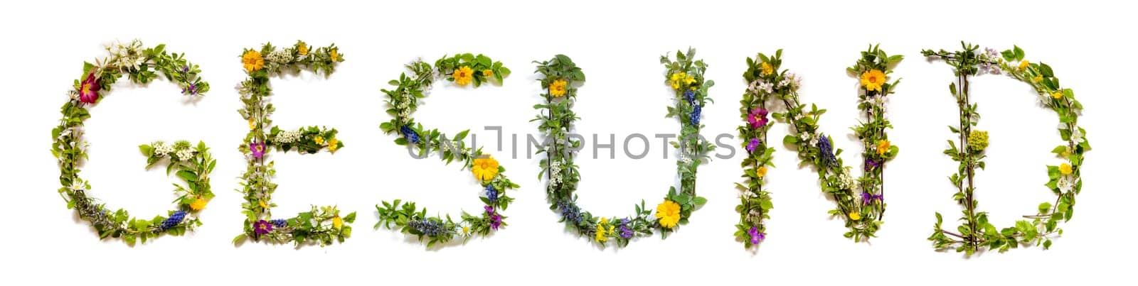 Blooming Flower Letters Building German Word Gesund Means Healthy. Summer And Spring Season Blossoms And Flower Lei.