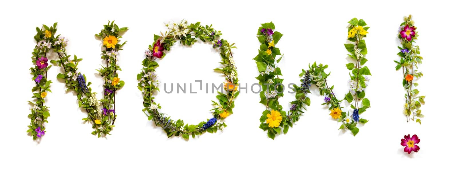 Blooming Flower Letters Building English Word Now. Colorful Spring and Summer Blossoms. White Isolated Background.