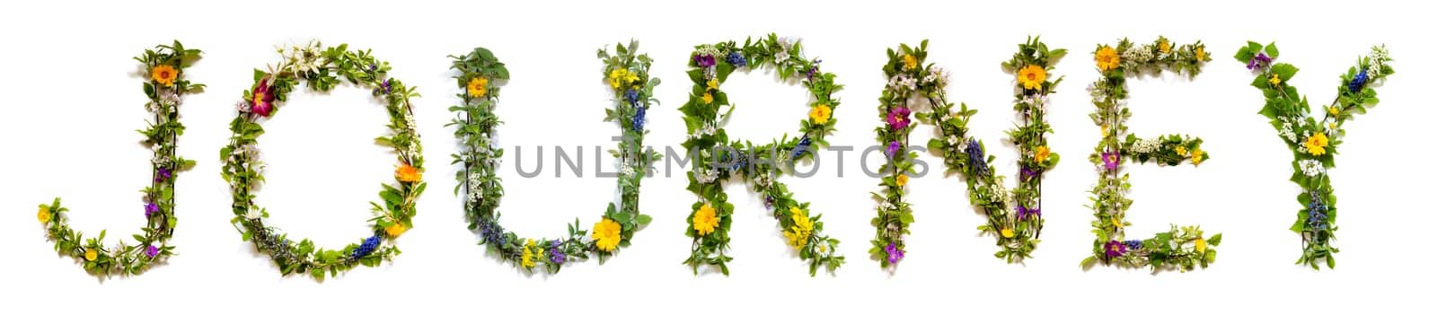 Blooming Flower Letters Building English Word Journey. Colorful Spring and Summer Blossoms. White Isolated Background.