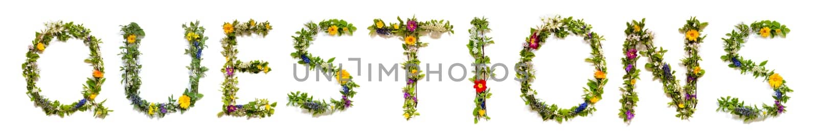 Blooming Flower Letters Building English Word Questions. Colorful Spring and Summer Blossoms. White Isolated Background.