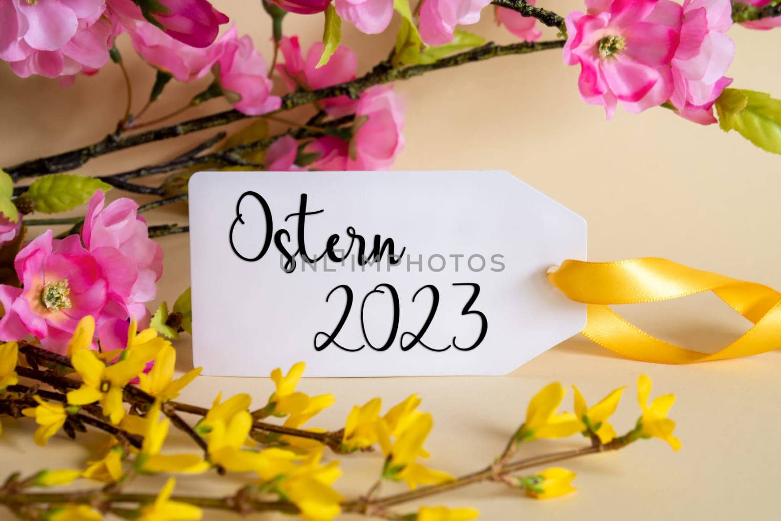 Spring Flower Arrangement With White Label With German Text Ostern 2023 Means Easter 2023. Colorful Flower Branch Decoration With Yellow And Purple Blossoms.