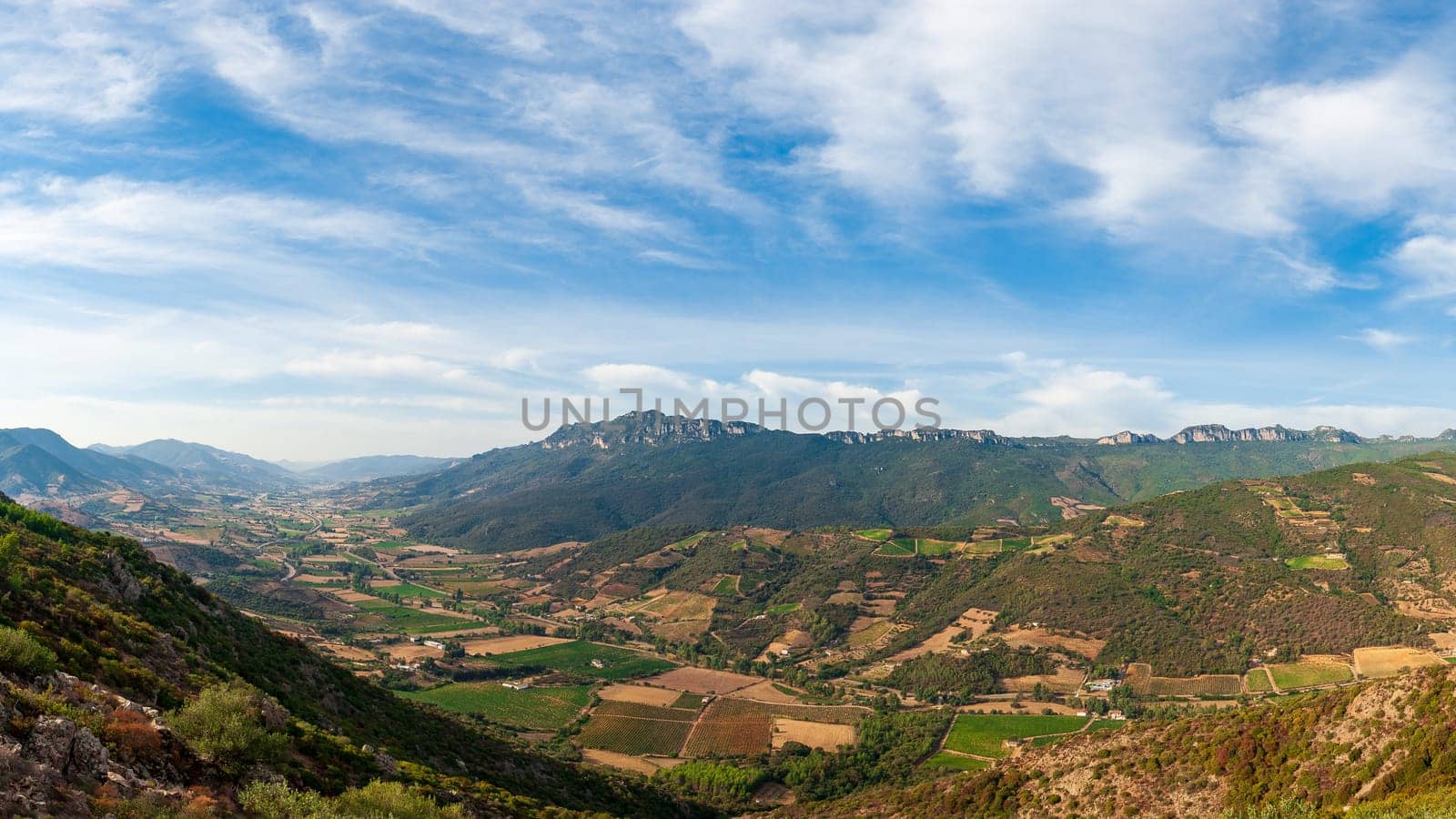 Landscape with vineyard cultivation for wine production, Sardinia, Italy. Traditional agriculture.