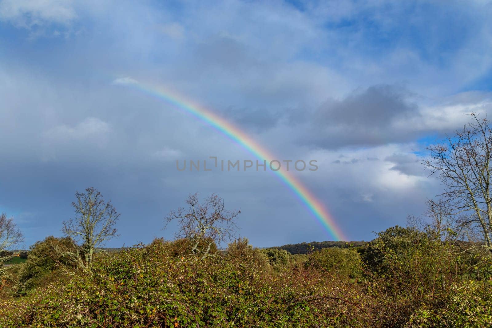 Oak trees and a rainbow in Extremadura, Spain, Europe. The Way of Saint James, Silver Way (Via de la Plata)