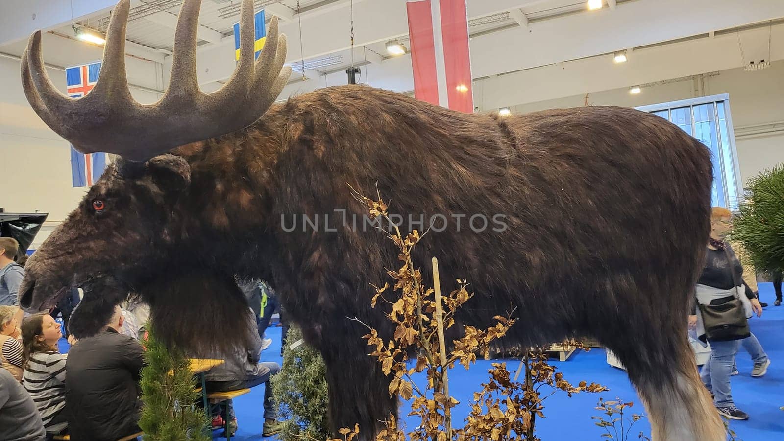 .Essen, Nrw, Germany - February 22, 2023:.Motorhomes at an exhibition for camping and travel in the city of Essen