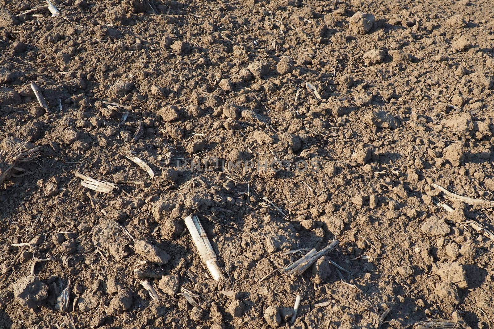 Arable field ready for spring agricultural work. Plowed black earth. Cornmeal on the ground. Fertile soil for planting. Fertilizers are the key to a good harvest. Agricultural work.