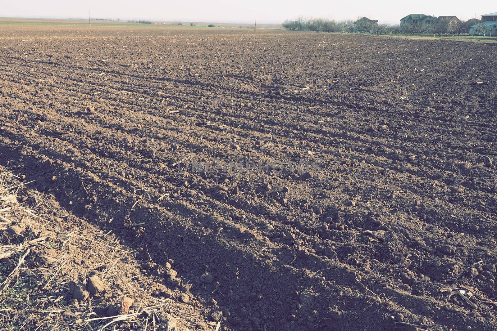 Arable field ready for spring agricultural work. Furrows from the passage of a tractor or combine. Cornmeal on the ground. Fertile soil for planting. Fertilizers are the key to a good harvest