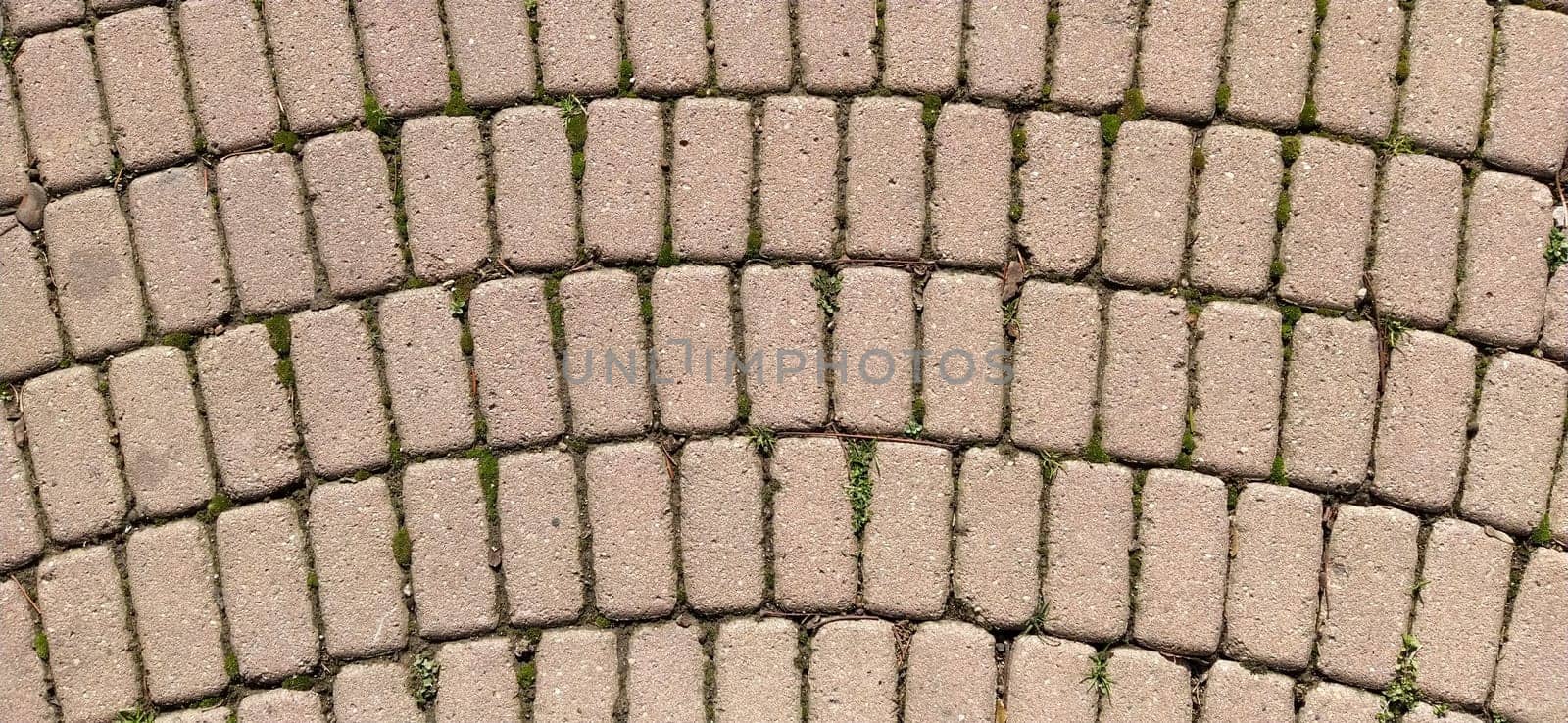 Cobbled street of the old city, lined with square and rectangular stone tiles in a chaotic manner. Soft beige or yellow colors and tones. The texture of the stone. Geometric pattern