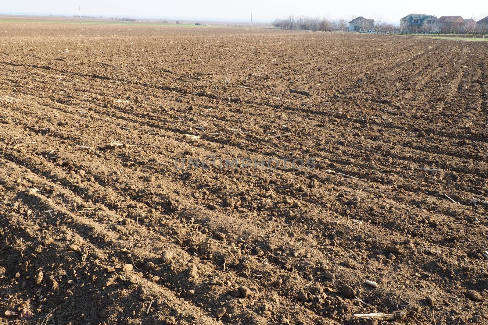 Arable field ready for spring agricultural work. Furrows from the passage of a tractor or combine. Cornmeal on the ground. Fertile soil for planting. Fertilizers are the key to a good harvest