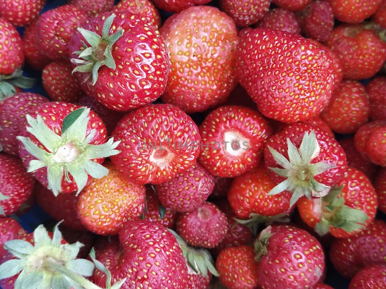 Strawberries background. Food background. Red strawberries in different sizes. Berries with green leaves close-up. Summer garden fruits.