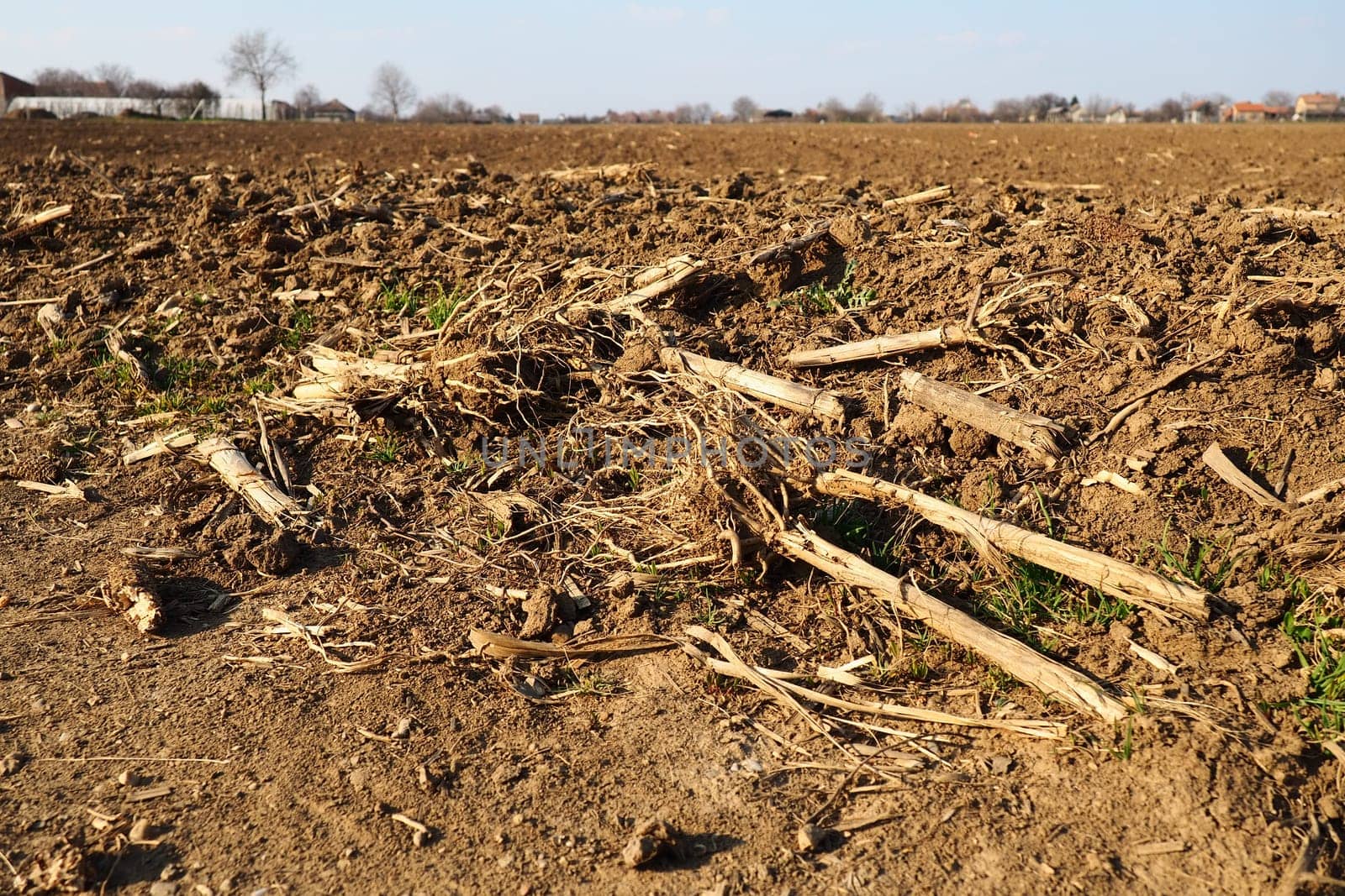 Arable field ready for spring agricultural work. Plowed black earth. Cornmeal on the ground. Fertile soil for planting. Fertilizers are the key to a good harvest. Agricultural work.