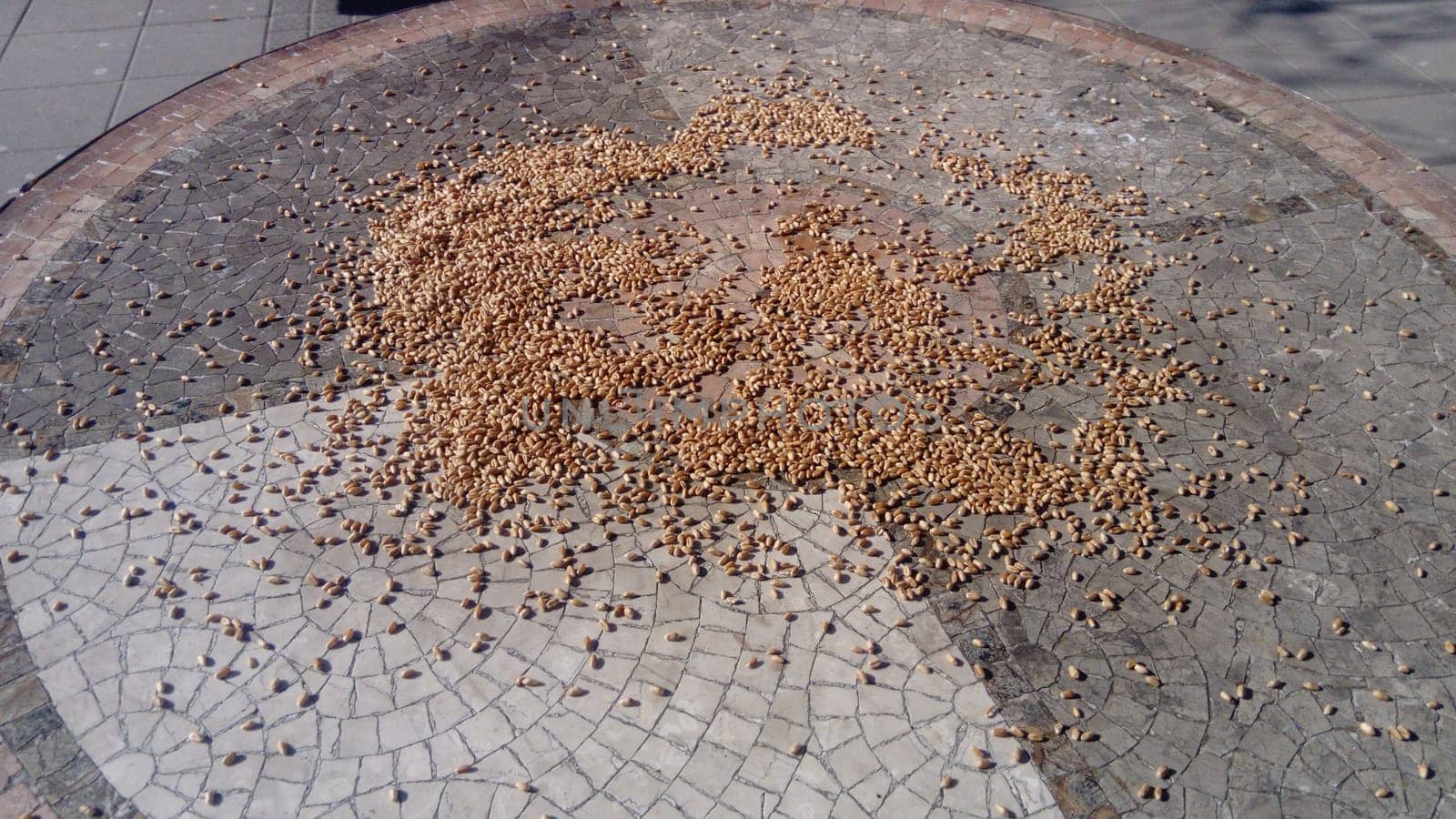 Wheat seeds scattered on a stone table. The stone is of different colors, white-gray. Someone threw bird food on a horizontal surface.