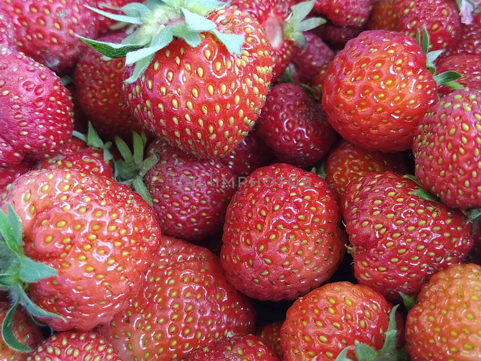 Beautiful smooth red ripe strawberry closeup. A lot of strawberry berries with green leaves. Vegetarian food full of vitamins, minerals and nutrients. Garden strawberries in the store
