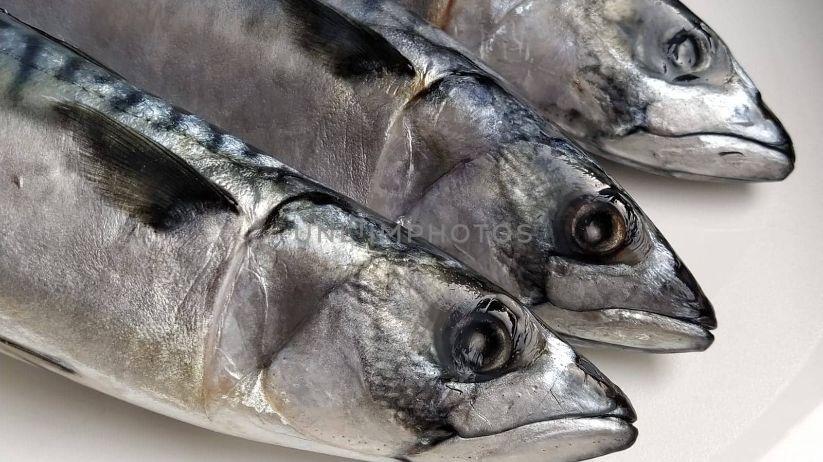 fresh fish with heads on a light background. Three fish were brought from the store and ready to be cut. Sea food.