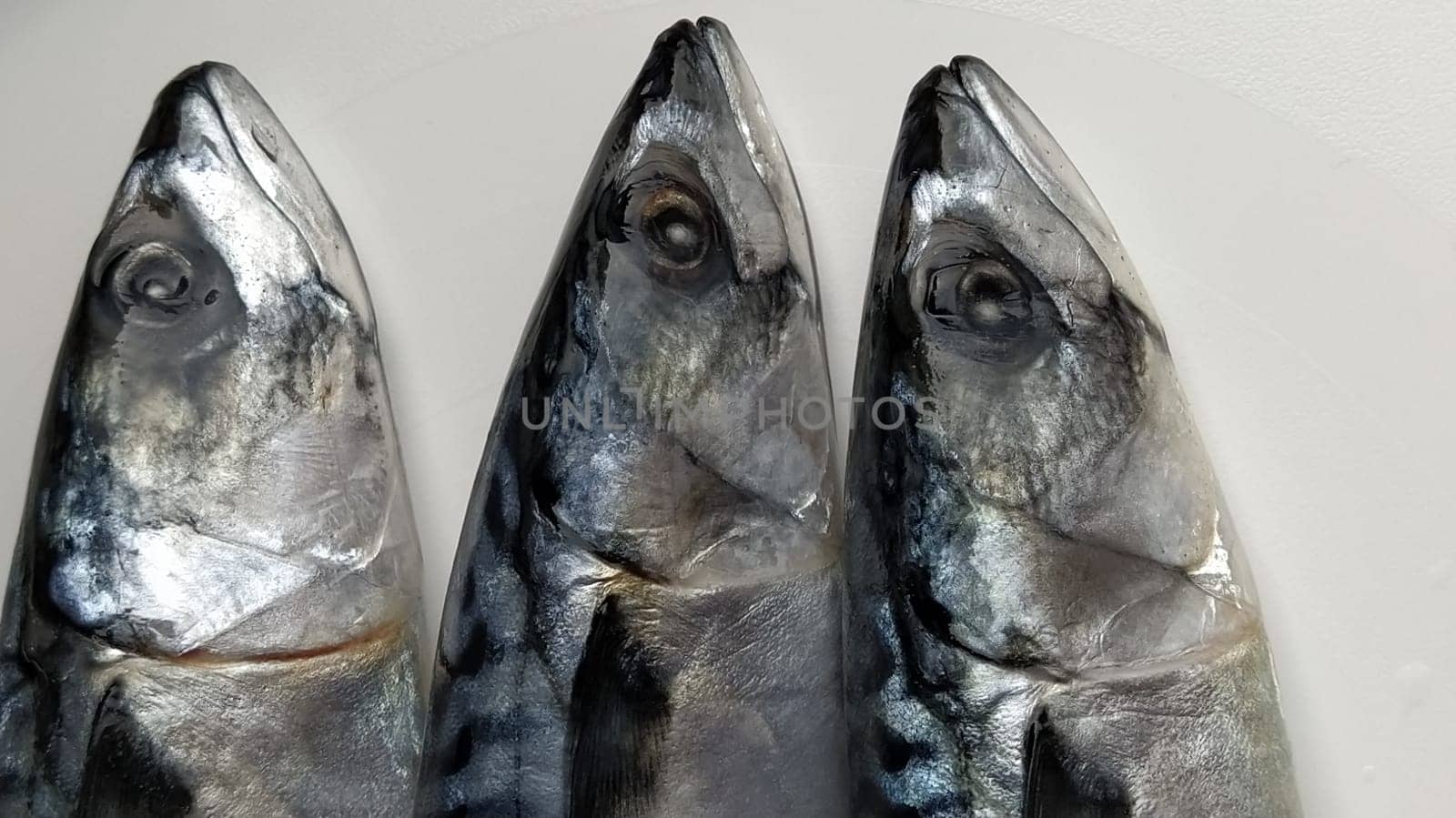 fresh fish with heads on a light background. Three fish were brought from the store and ready to be cut. Sea food.