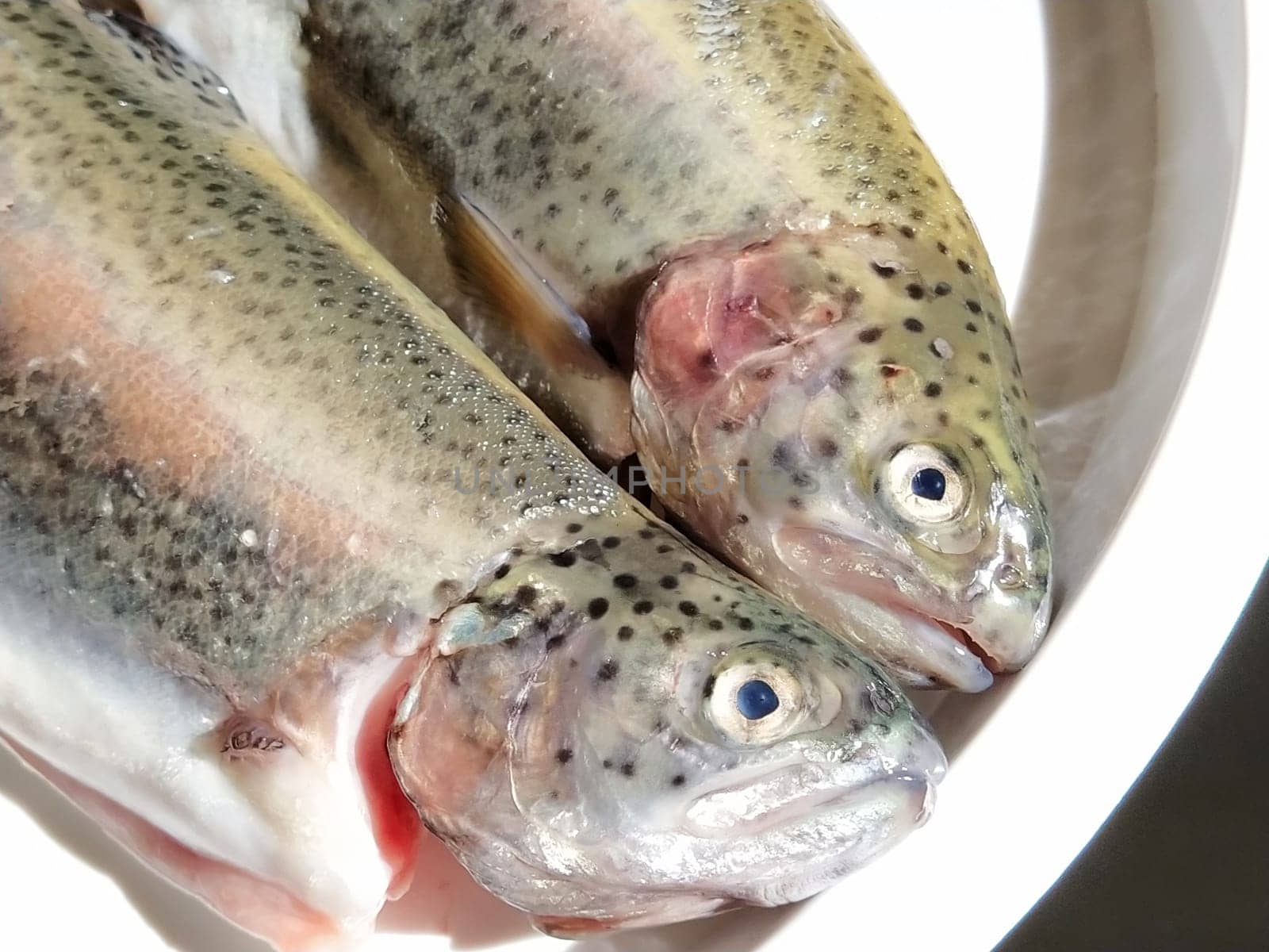Two trout fish on a white plate. Fresh edible fish close-up. Shiny scales on the body, transparent eyes of the fish. High in omega-3 unsaturated fatty acids for a healthy diet. Mediterranean diet.