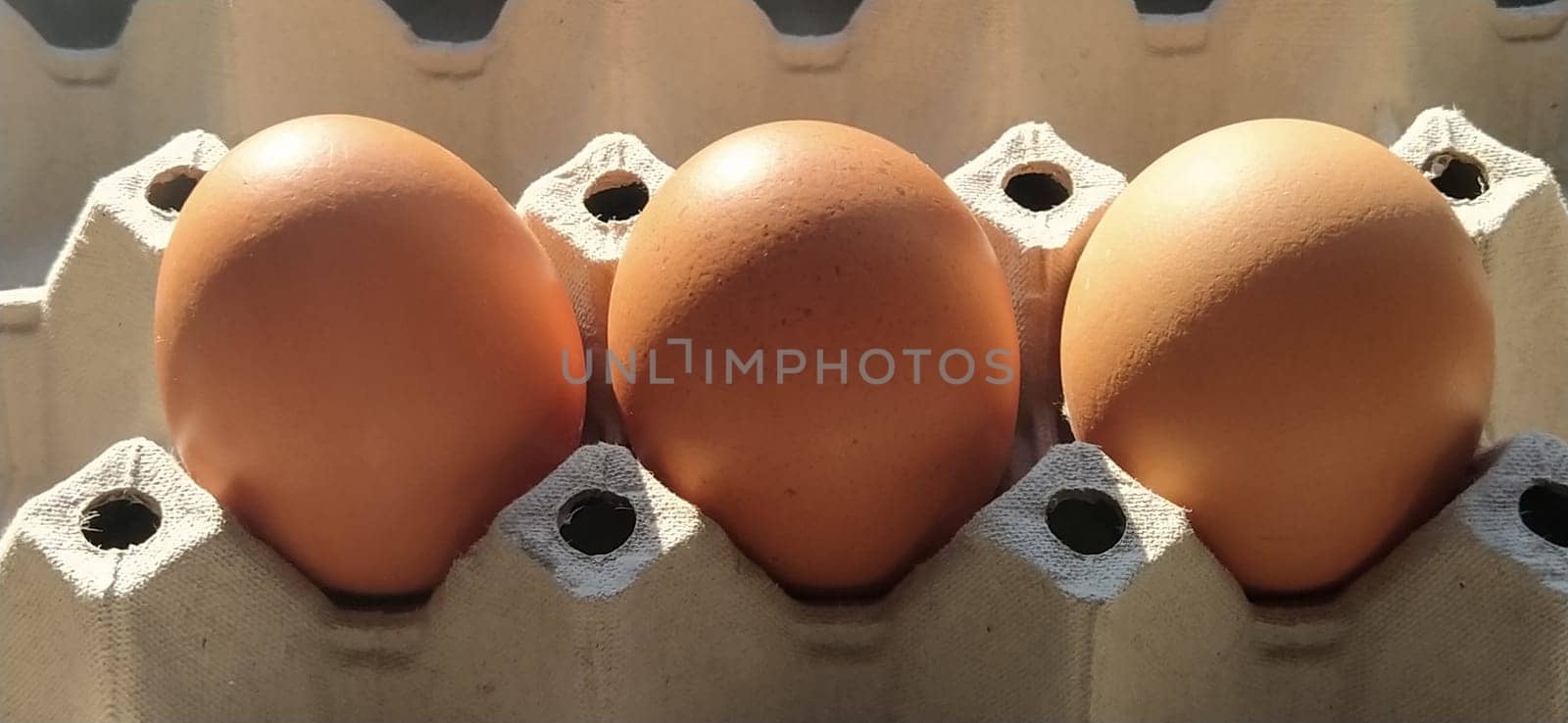 Chicken eggs in a carton. Beige eggs in a container when illuminated by spring sunlight. Ingredients. Agricultural products. Farm food. Proper protein nutrition. Recycled packaging. Demography concept