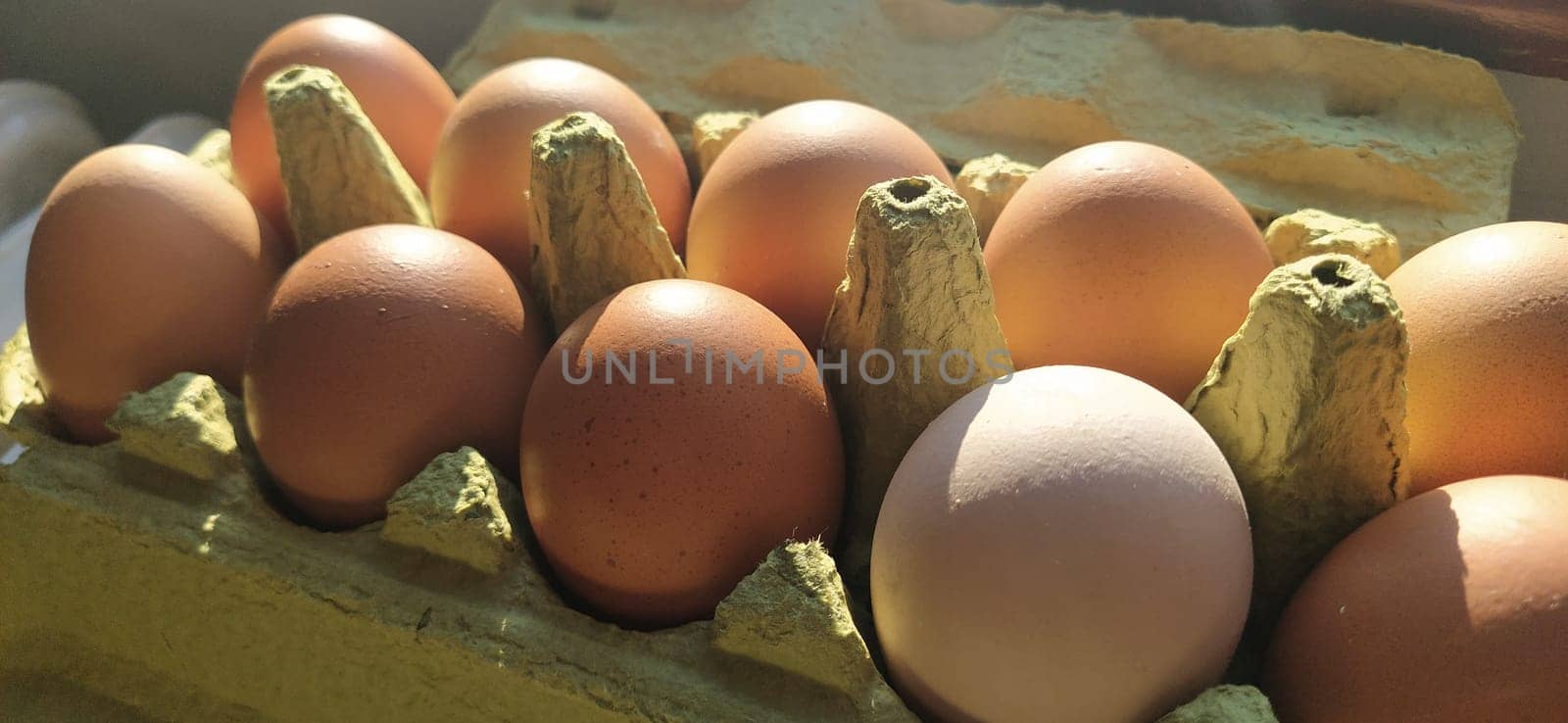 Chicken eggs in a carton. Beige eggs in a container when illuminated by spring sunlight. Ingredients. Agricultural products. Farm food. Proper protein nutrition. Recycled packaging. Demography concept