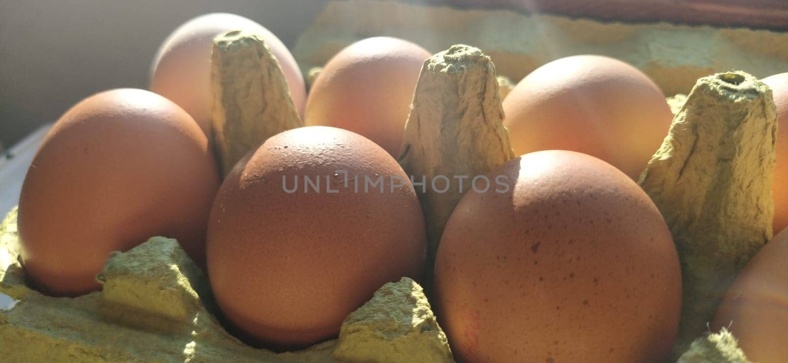 Chicken eggs in a carton. Beige eggs in a container when illuminated by spring sunlight. Ingredients. Agricultural products. Farm food. Proper protein nutrition. Recycled packaging. Demography concept
