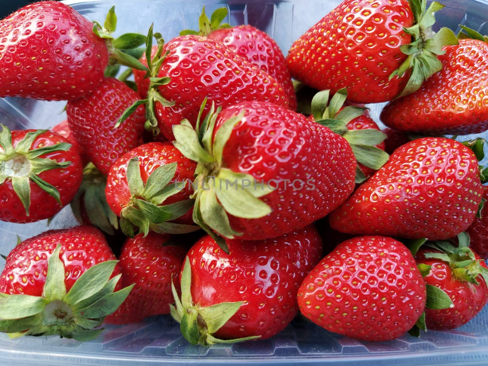 Fresh strawberries in a transparent plastic container. Beautiful red berries of garden strawberry.