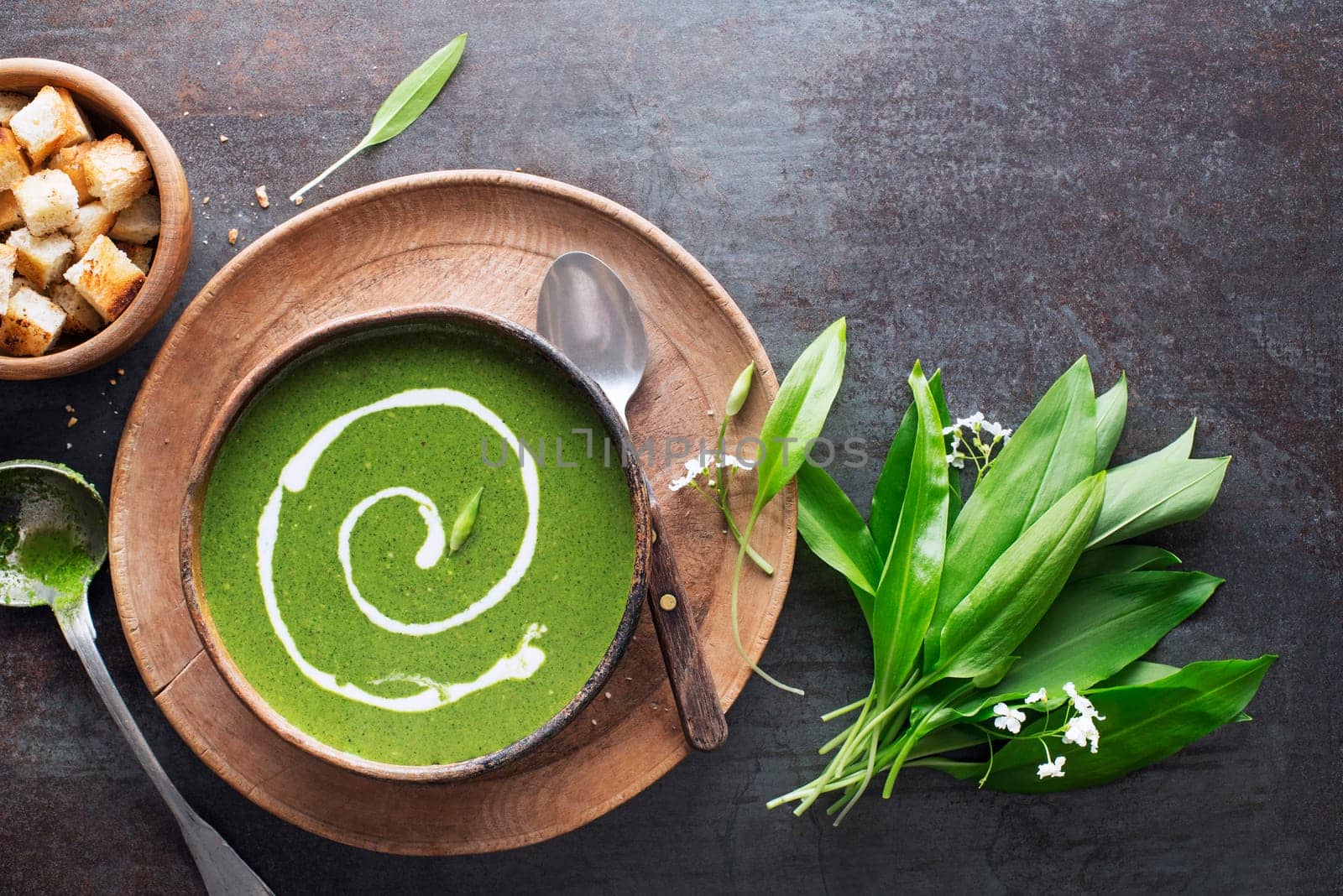 Fresh ramson or wild garlic soup on dark background. Healthy spring food concept