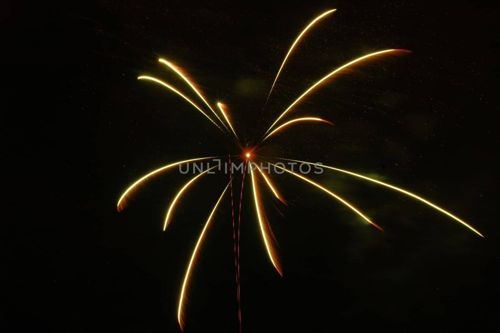 A 4th of July firework in Skokie, IL.