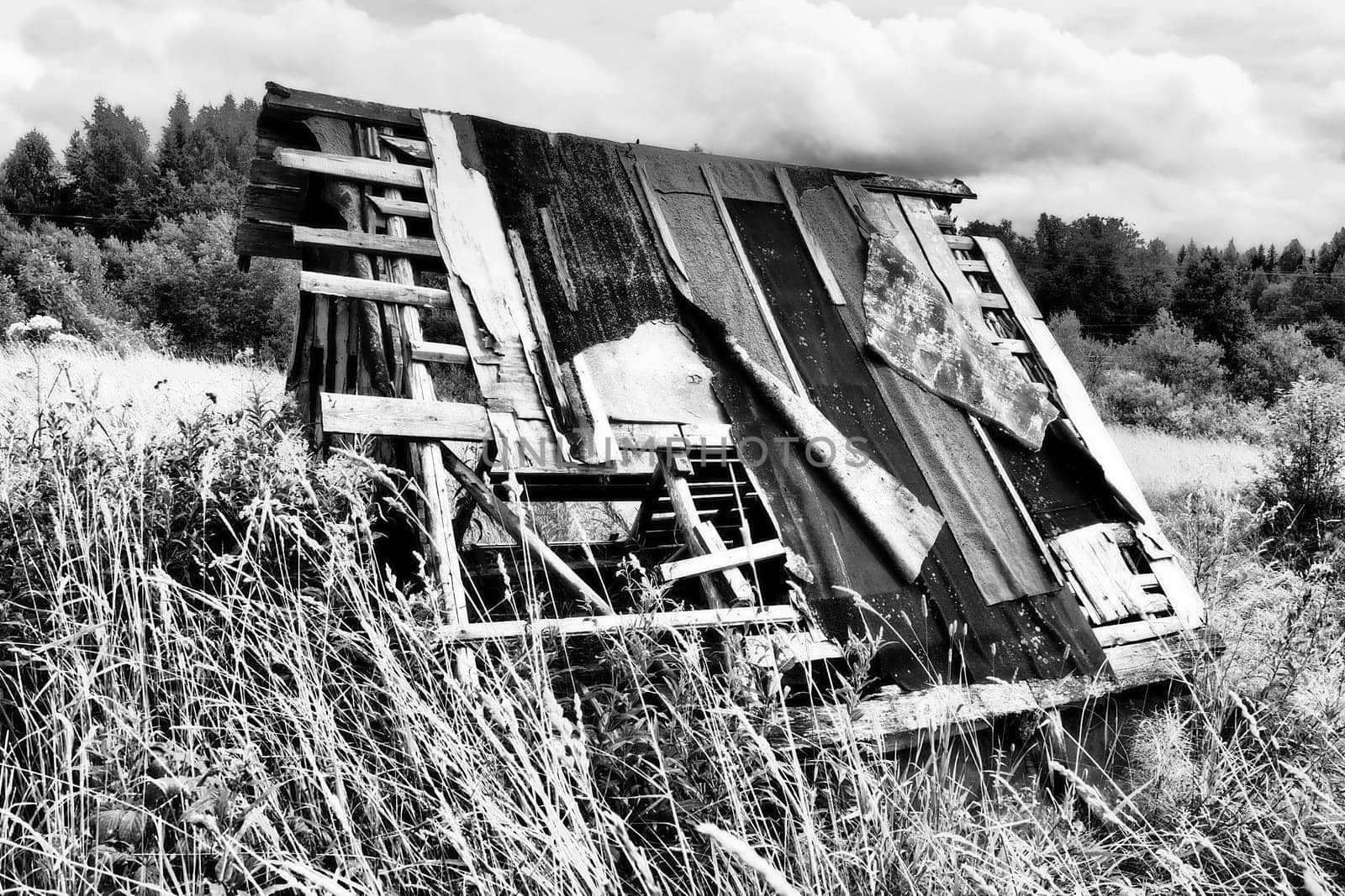 Old abandoned sad well or house in Nyrki village, Karelia. A lopsided wooden roof with slipped roofing material. A field with meadow flowers and a forest in the distance. Tall grasses. Dying villages