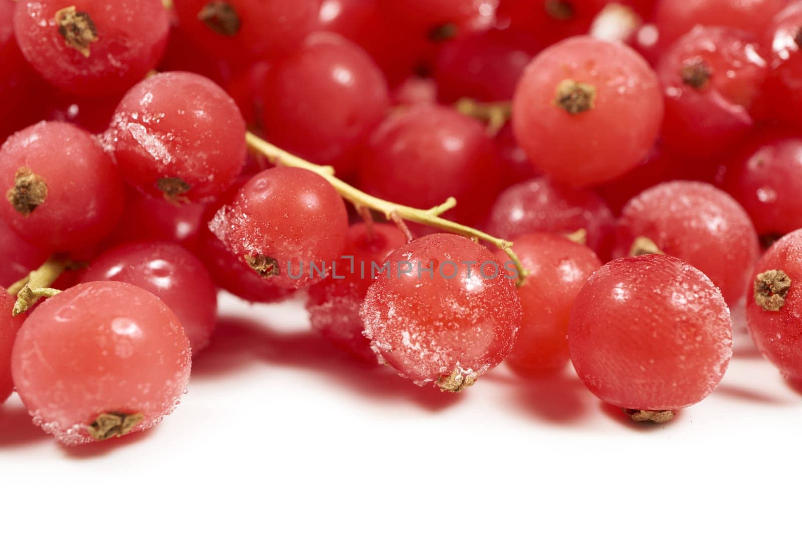 Frozen currants against a white background