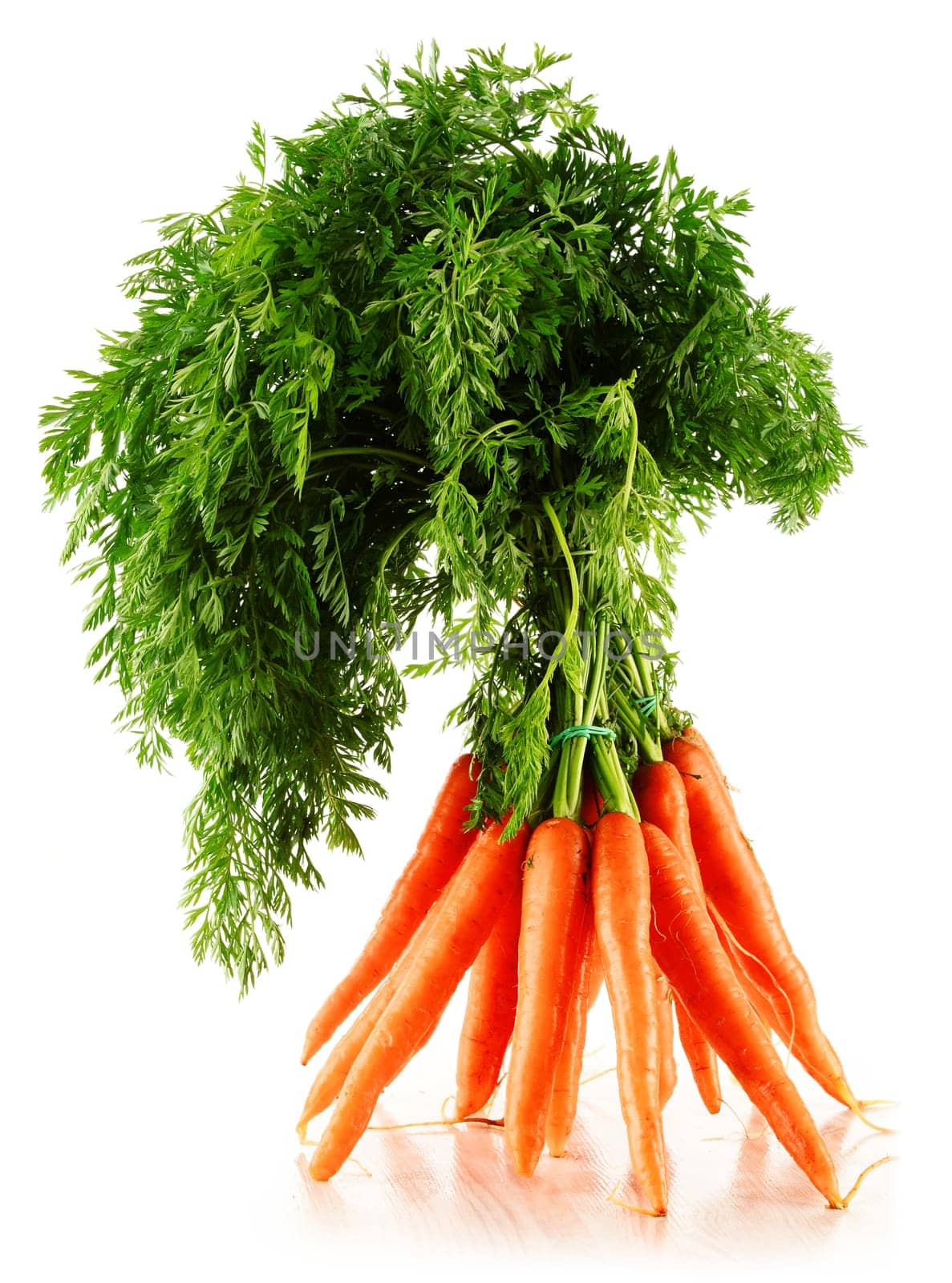 Fresh carrots bunch isolated on white background
