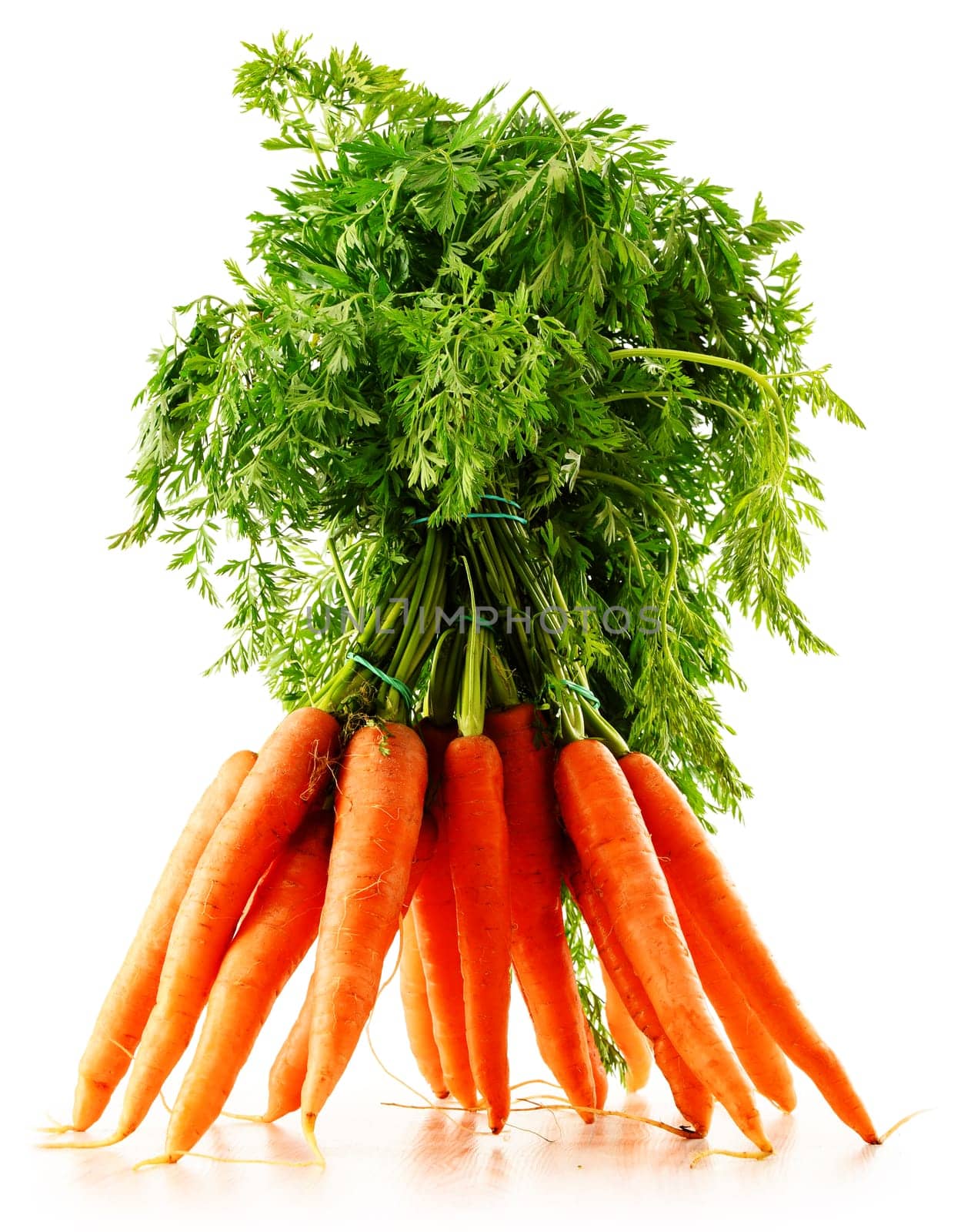 Fresh carrots bunch isolated on white background