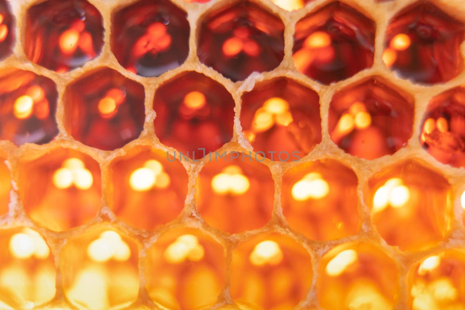 Close-up of bee honeycombs of geometric hexagonal shapes full of tasty honey reflecting light. Beekeeping, apiculture, bee farming, background, texture, pattern, wallpaper, health care, food, beehive.