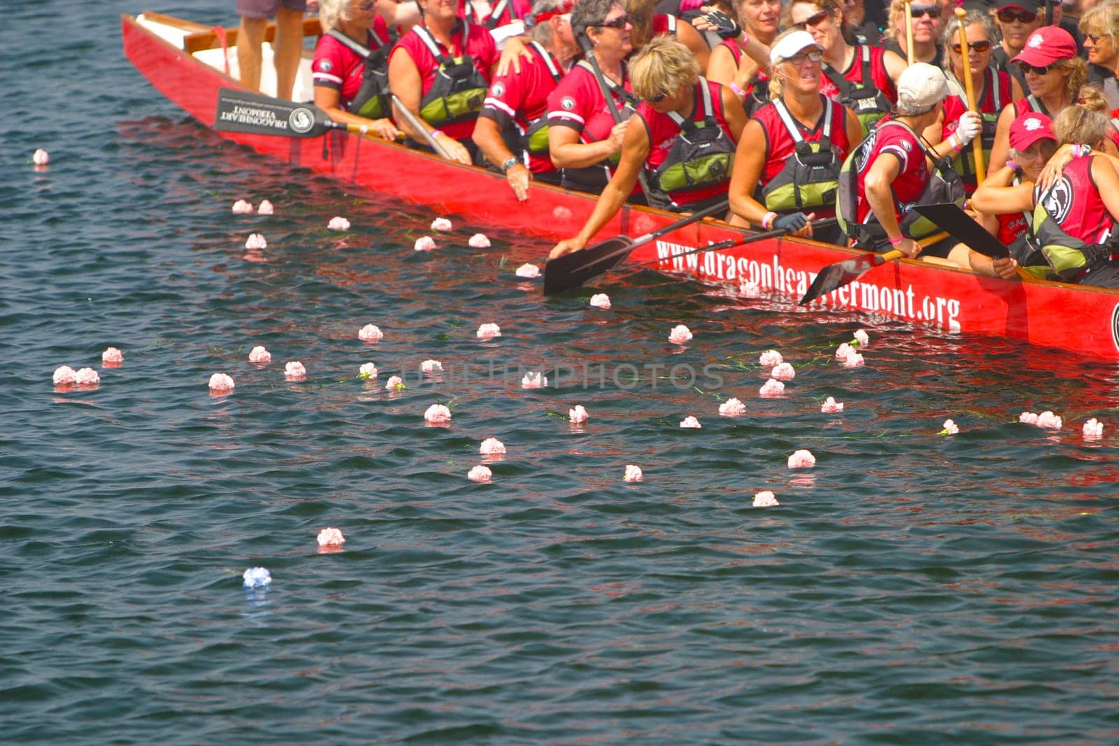 Dragon boat races on Lake Champlain in Burlington, Vermont, USA.  The races are held to raise money for breast cancer survivors.