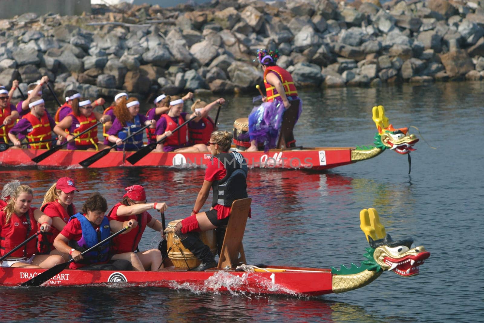 Dragon boat races on Lake Champlain in Burlington, Vermont, USA.  The races are held to raise money for breast cancer survivors.