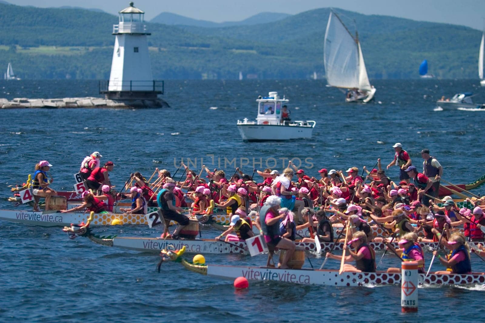 Dragon Boat Races held on Lake Champlain in Burlington VT.