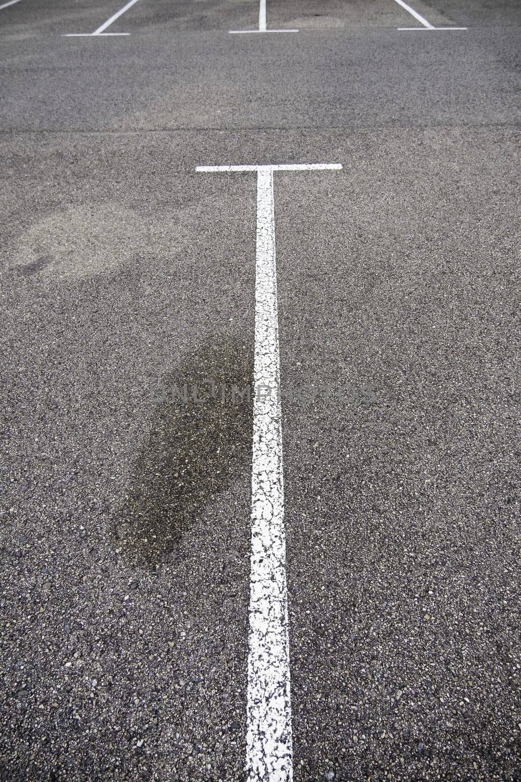 Detail of parking lines in a public parking lot, road signs