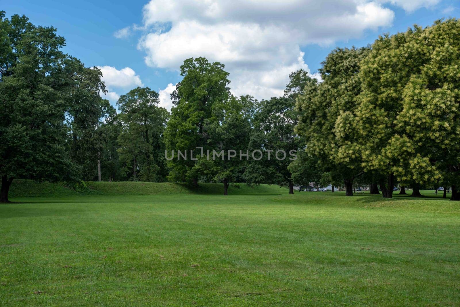 Long barrow mound and tall trees by the exterior of the Great Circle mound at the Newark Earthworks built by prehistoric indigenous people in Ohio. Green grass, sunny outdoors with no people and copy space.