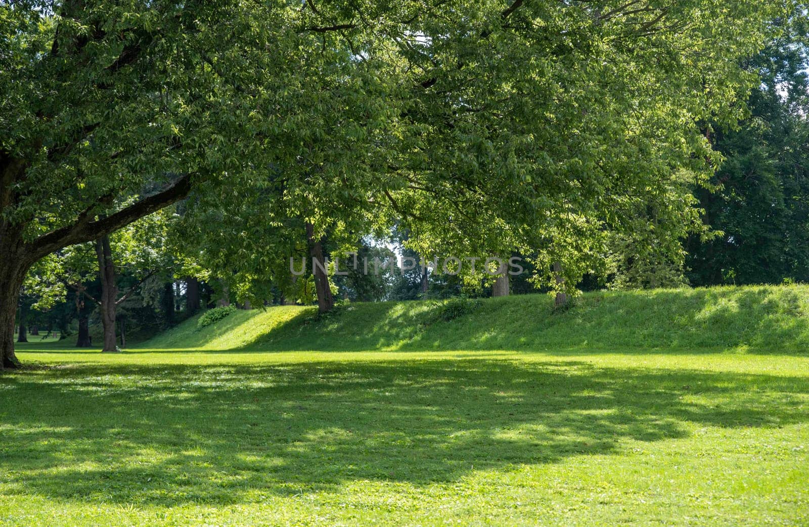 The exterior of the Great Circle at the Newark Earthworks built by prehistoric indigenous people in Ohio. Green grass, shade trees, sunny outdoors with no people and copy space.