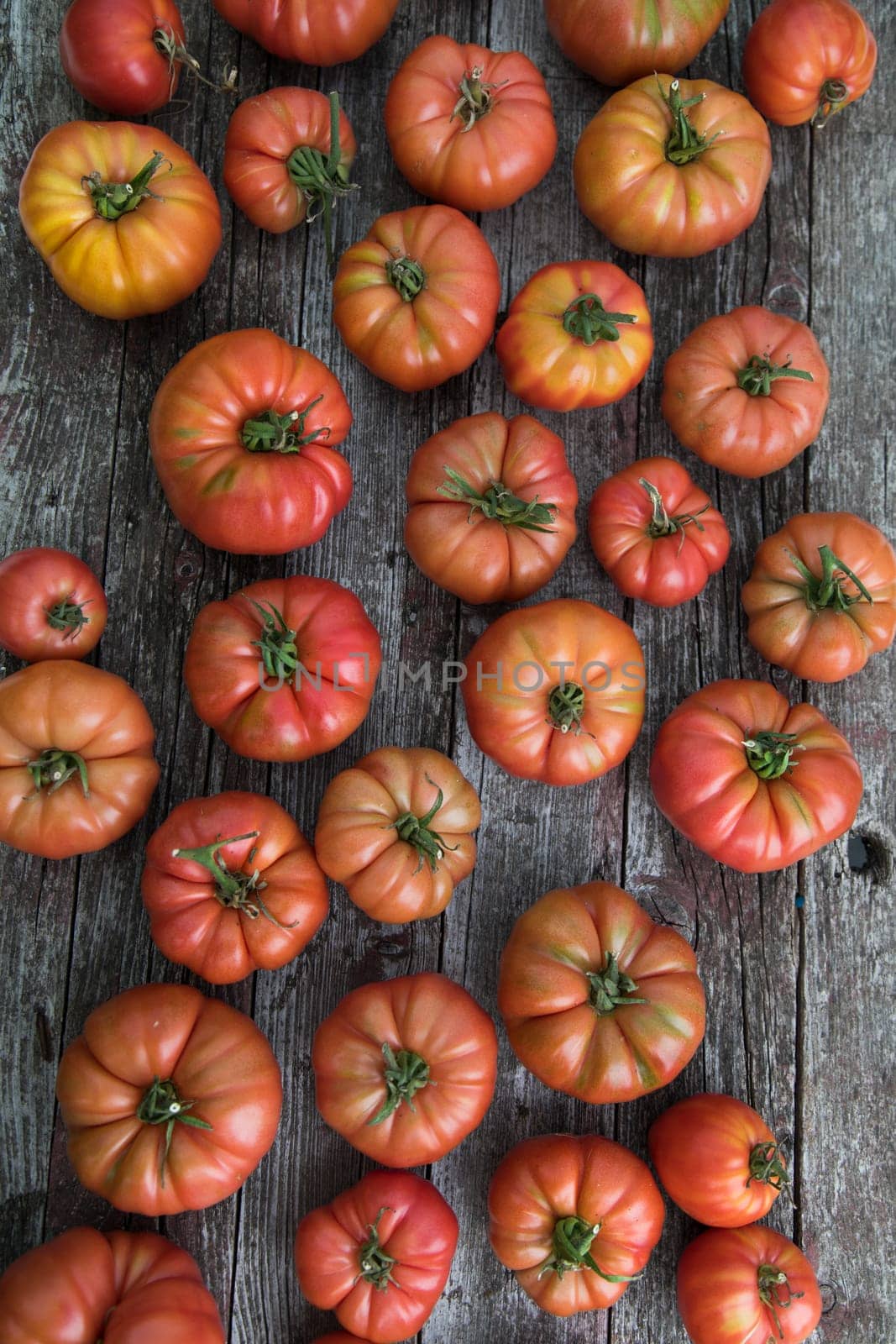 Vegetables, Tomatoes,  on desk in garden